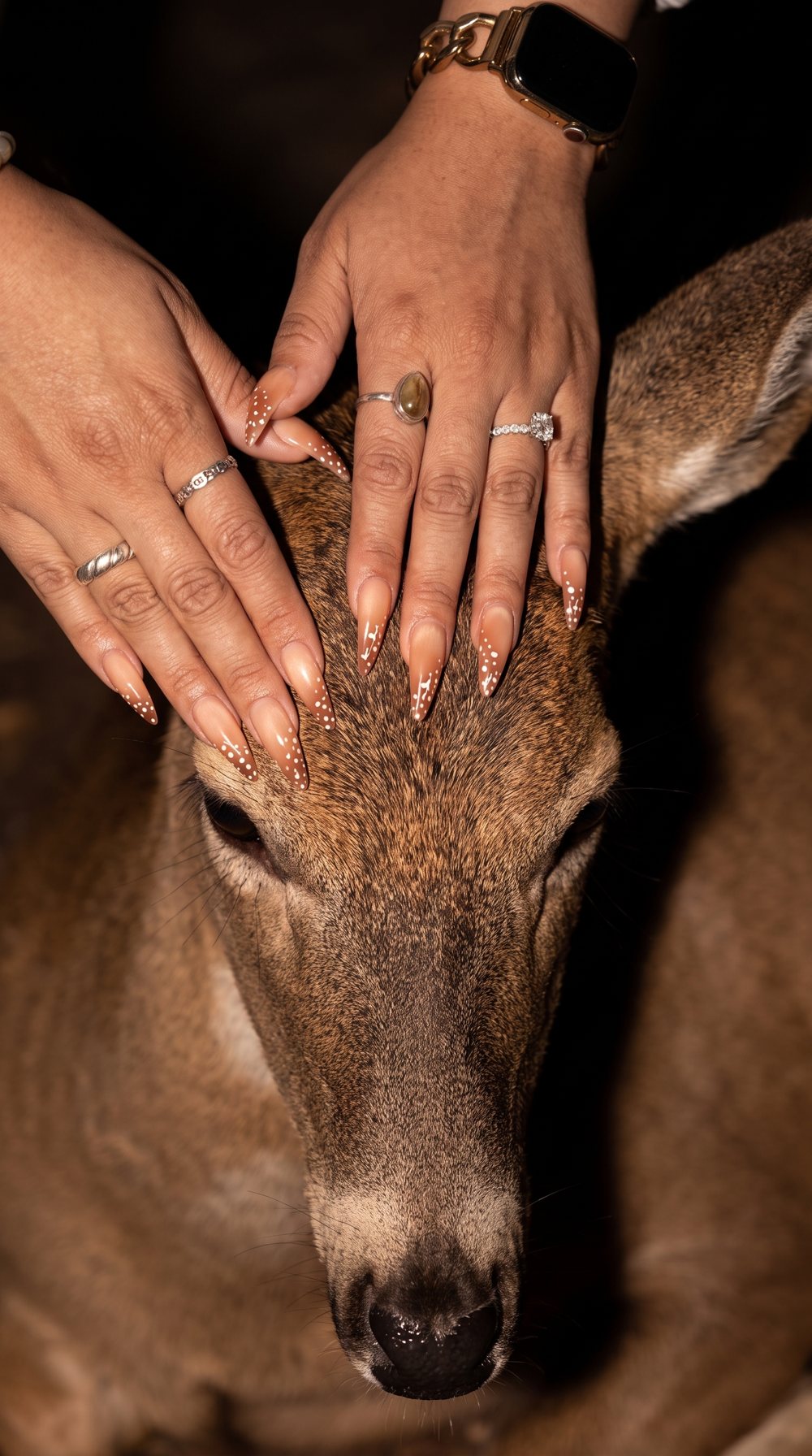 Baddie Nailz set